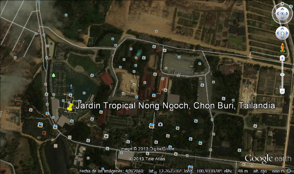 Jardin Tropical Nong Nooch, Chon Buri, Tailandia ⚠️ Ultimas opiniones 2