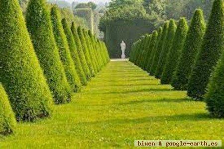 Jardines de Versalles - Paris, Francia 1