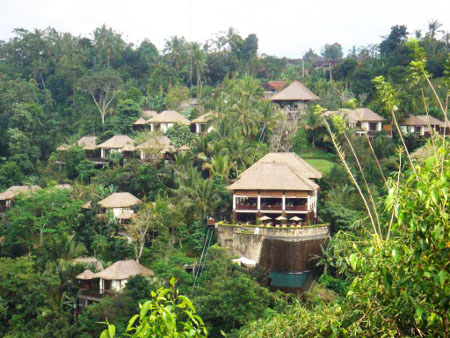 Jardines Ubud, Hanging, Bali, Indonesia 0