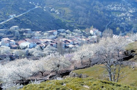 Jerte, Cáceres, Extremadura 0