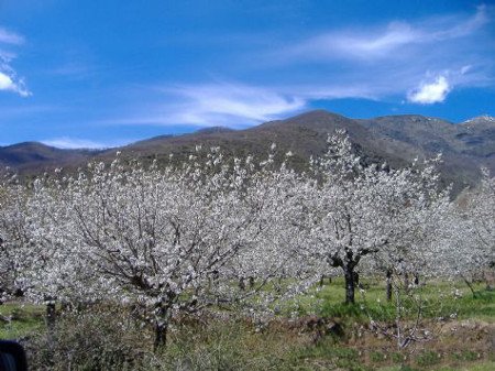 Jerte, Cáceres, Extremadura ⚠️ Ultimas opiniones 0