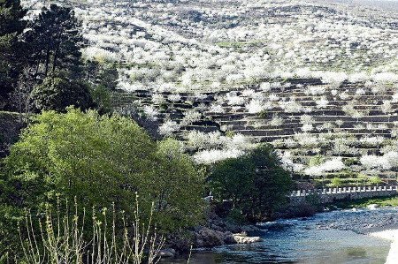 Jerte, Cáceres, Extremadura (Foto 2)