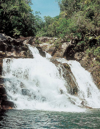 Parque Nacional Jianfengling, Hainan, China 🗺️ Foro China, el Tíbet y Taiwán 2