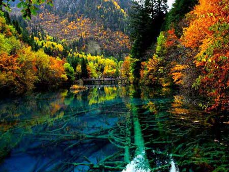 Valle de Jiuzhaigou, Sichuan, China 🗺️ Foro China, el Tíbet y Taiwán 2