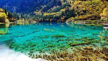 Jiuzhaigou, Jiuzhai, Sichuan, China 1