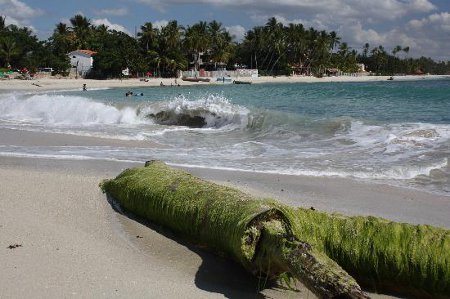 Juan Dolio, San Pedro de Macoris, R. Dominicana 🗺️ Foro América del Sur y Centroamérica 1