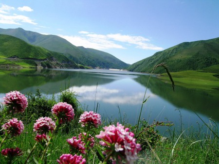 parque Kekexili, Qinghai, China 1