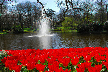 Keukenhof, Lisse, Holanda 0