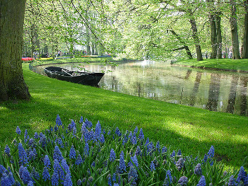 Keukenhof, Lisse, Holanda 1