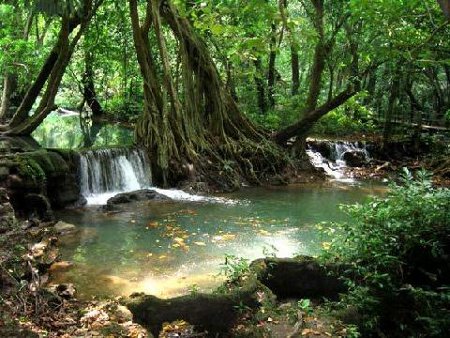 Parque Nacional Khao Sok, Thailandia 1