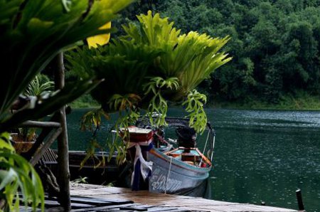 Parque Nacional Khao Sok, Thailandia 🗺️ Foro Asia 0