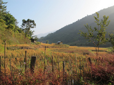 Kiphire, Nagaland, India 1