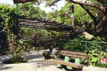 Parque Kowloon, Hong Kong 🗺️ Foro China, el Tíbet y Taiwán 2