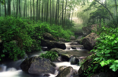 La Montaña Jianglangshan, Zhejiang, China 0