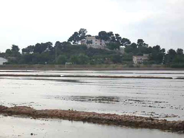 El santuario protector del arrozal- Sueca, Valencia (Foto 1)