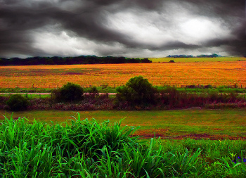 La Pampa, Argentina 0