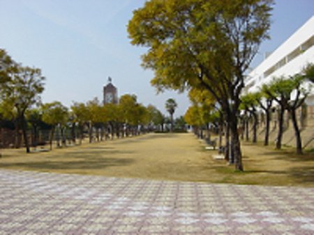 La Puebla del Río, Sevilla, Andalucia (Foto 3)