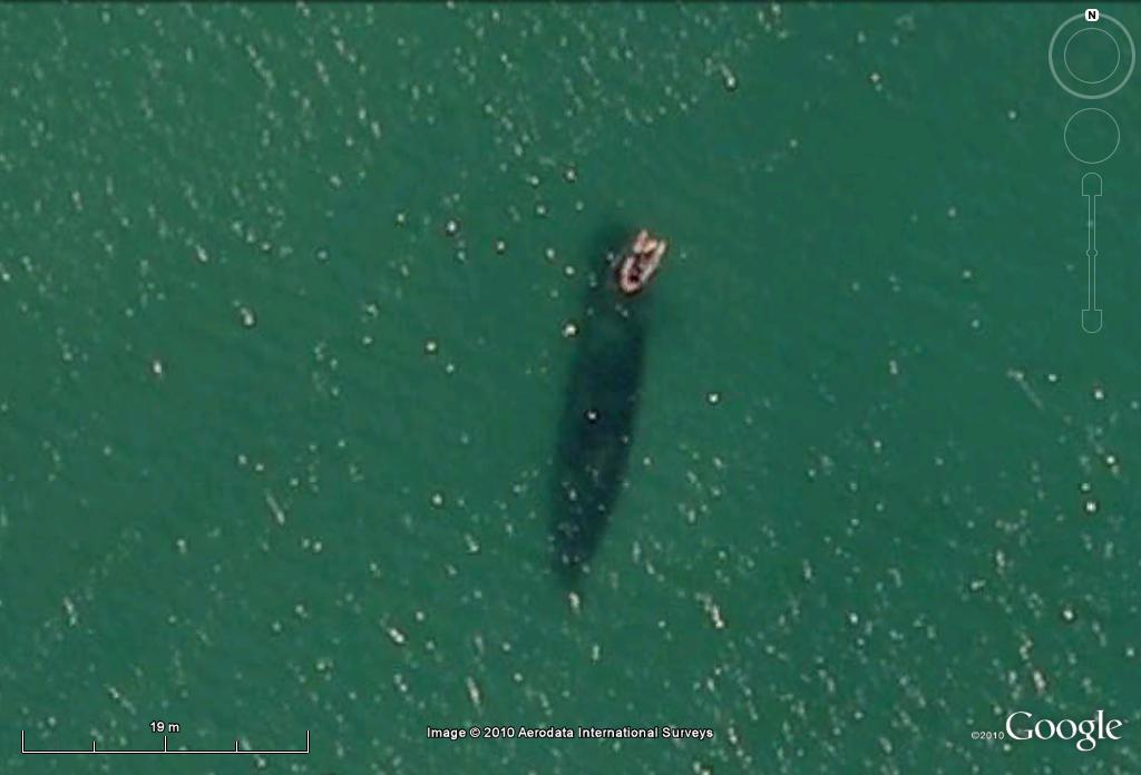 Barco hundido 🗺️ Foro General de Google Earth 0