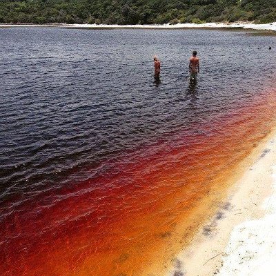 Lago Araraquara o Coca Cola, Rio Grande del Norte, Brasil 🗺️ Foro América del Sur y Centroamérica 0