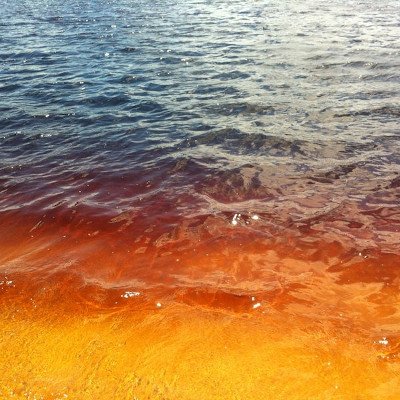 Lago Araraquara o Coca Cola, Rio Grande del Norte, Brasil 1