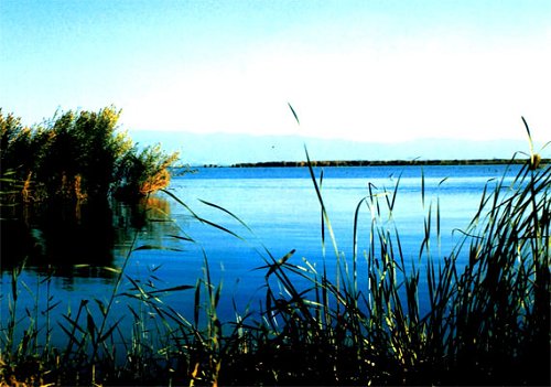 Lago Bosten, Xinjiang, China 🗺️ Foro China, el Tíbet y Taiwán 0