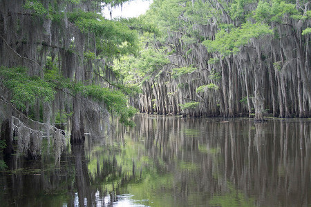 Lago Caddo, Luisiana, Estados Unidos 0