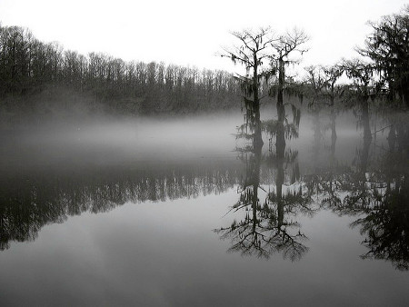 Lago Caddo, Luisiana, Estados Unidos 1