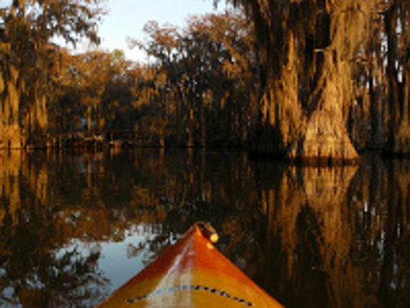 Lago Caddo, Luisiana, Estados Unidos 0