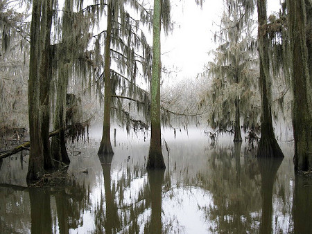 Lago Caddo, Luisiana, Estados Unidos 🗺️ Foro América del Norte 1