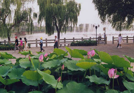 Lago Daming, Jinan, Shandong, China 1