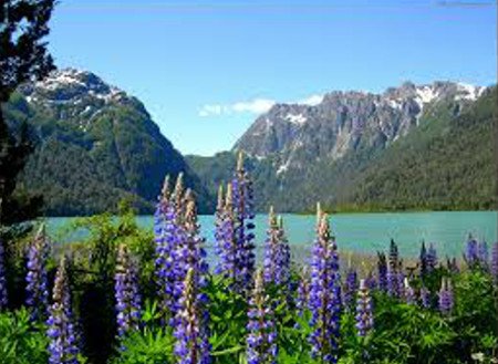 Lago Frías, Río Negro, Argentina 0