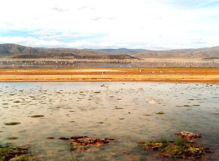 Lago Poopó, Oruro, Bolivia 0