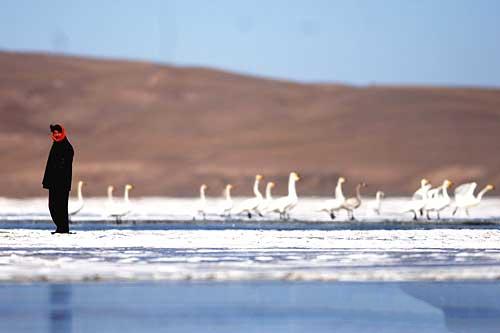 Lago Qinghai, China 0