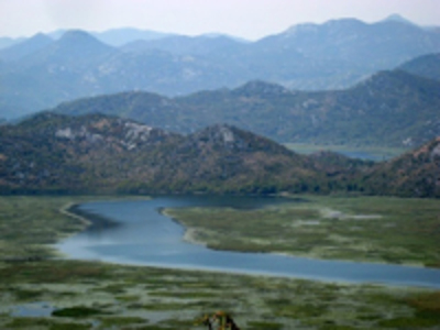 Lago Skadar, Shkodër, Montenegro 🗺️ Foro Europa 1