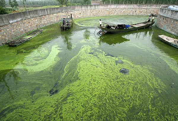 Lago Taihu, Zhenjiang, China 1