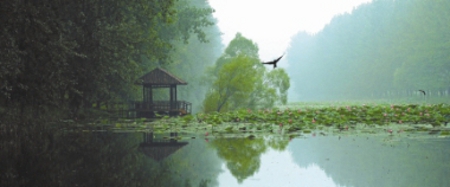 Lago Weishan, Shandong, China 1