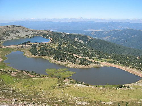 Achivo del Concurso de Google Earth - Temas viejos 1