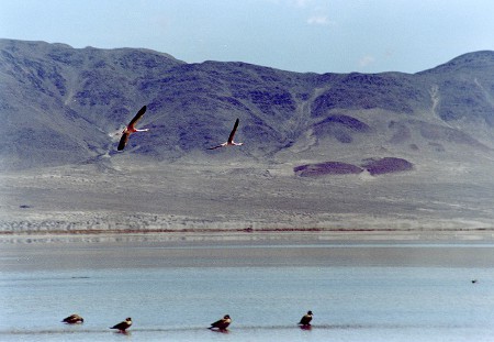 Laguna Blanca, Catamarca, Argentina 1