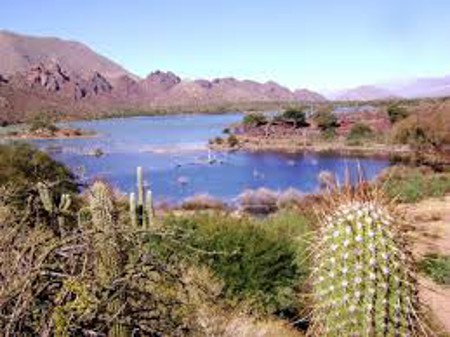 Laguna Brealito, Seclantas, Salta, Argentina 1