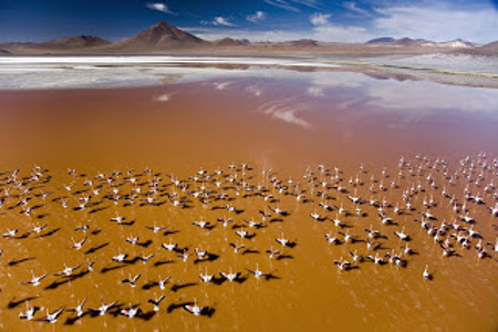 Laguna Colorada, Bolivia 1