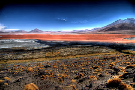 Laguna Colorada, Bolivia 🗺️ Foro América del Sur y Centroamérica 0