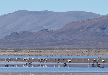 Laguna de los Pozuelos, Jujuy, Argentina 0