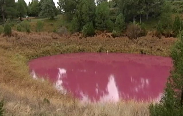 Lagunas de Cañada del Hoyo (Cuenca) 🗺️ Foro Clima, Naturaleza, Ecologia y Medio Ambiente