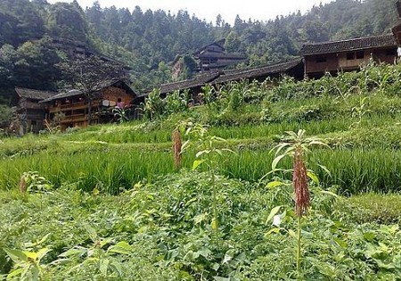 Langde, Guizhou, China 0