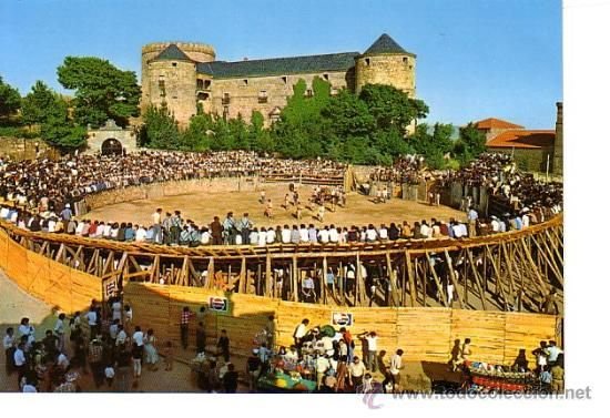 Las Navas del Marqués, Ávila, Castilla y León (Foto 3)