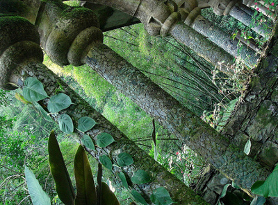 Las Pozas de Xilitla, México 2