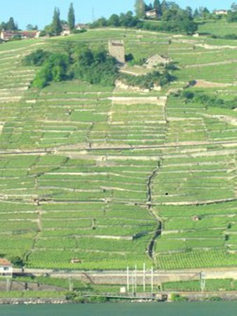 Lavaux, Oron, Suiza 1