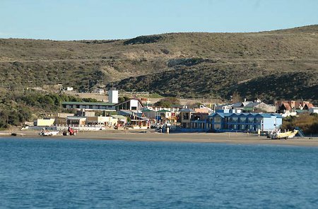 Loberías, Puerto Pirámides, Chubut, Argentina 0