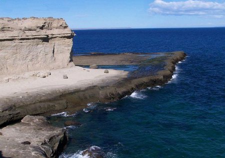 Loberías, Puerto Pirámides, Chubut, Argentina 1