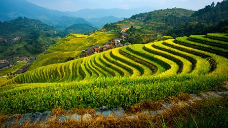 Longsheng, Guilin, Guangxi, China 0